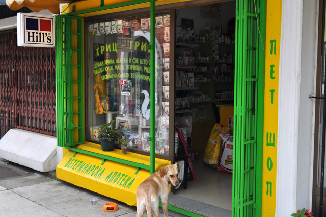 Ulaz u veterinarsku apoteku i pet šop GRIC-GRIC u TC Mala Piramida